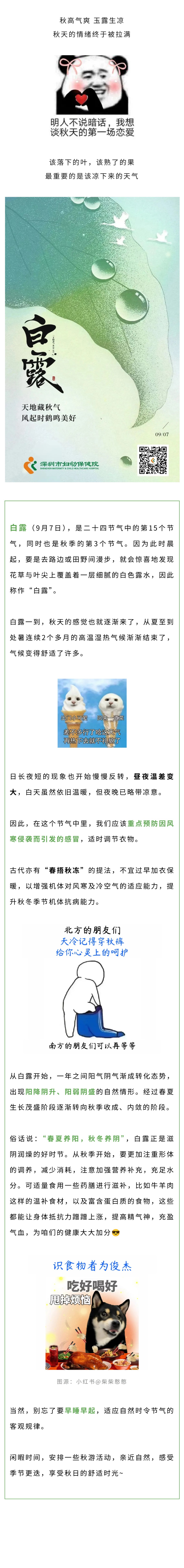 中医 白露秋意知多少，如何养生才能增强抵抗力？.jpg