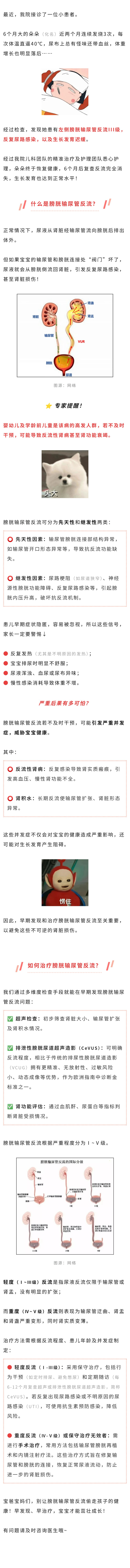 儿科  6个月女婴反复高烧、排尿哭闹，竟是肾脏“隐疾”作祟！.jpg