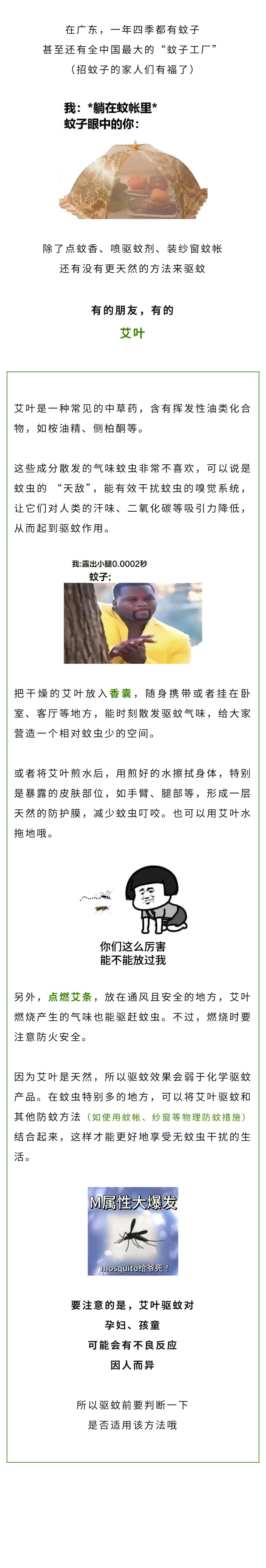 保健  老祖宗严选！门口挂的竟是驱蚊神器.jpg