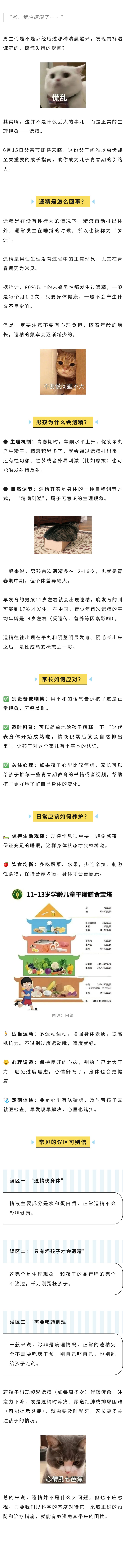生殖  爸爸给儿子上的青春第一课：遗精没那么可怕！.jpg