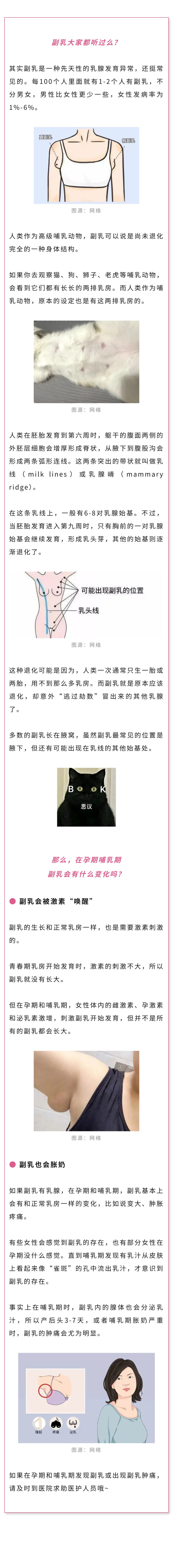 产科  人类本该有6-8对乳房？.jpg