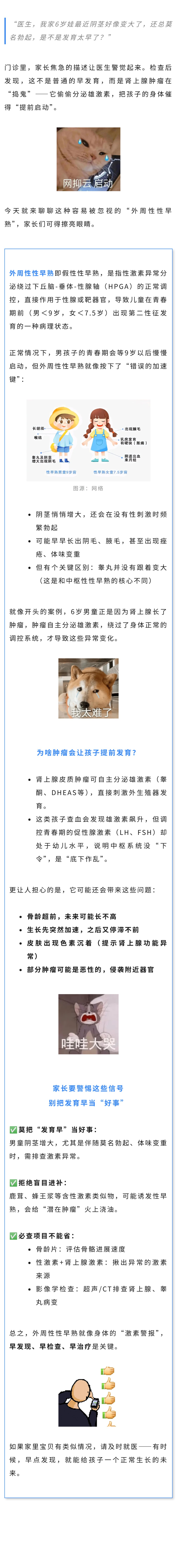儿科  6岁男童阴茎增大还勃起，竟是Ta在捣鬼！.jpg