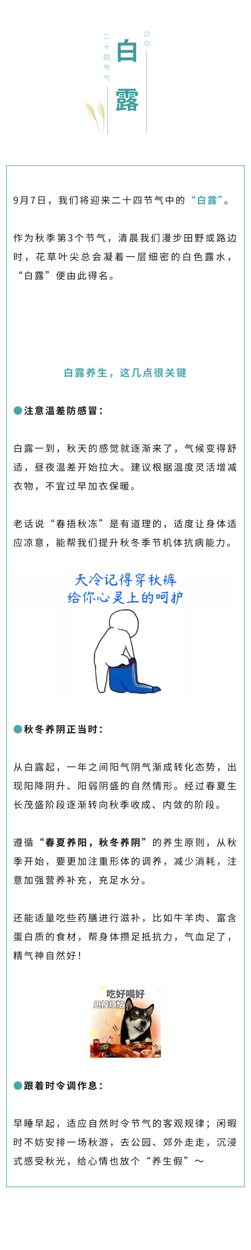 中医  白露来了：怎么养出秋冬抵抗力？.jpg