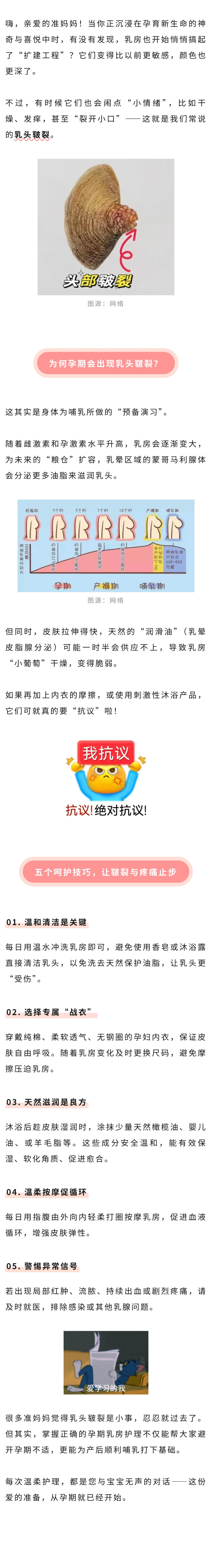 乳腺  孕期乳头皲裂，这5招收好.jpg