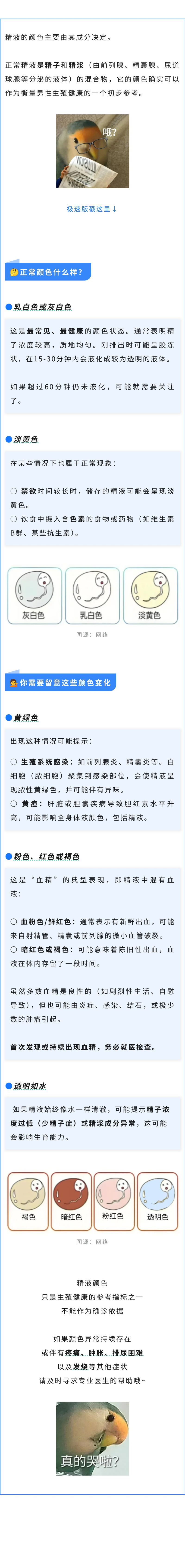 生殖  “小蝌蚪”什么颜色才算正常？.jpg